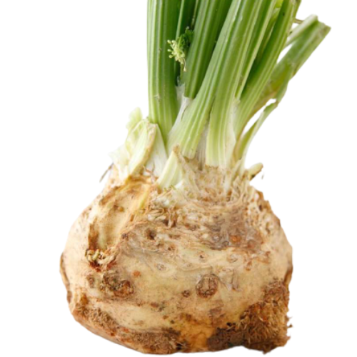 CELERY ROOT BY WEIGHT