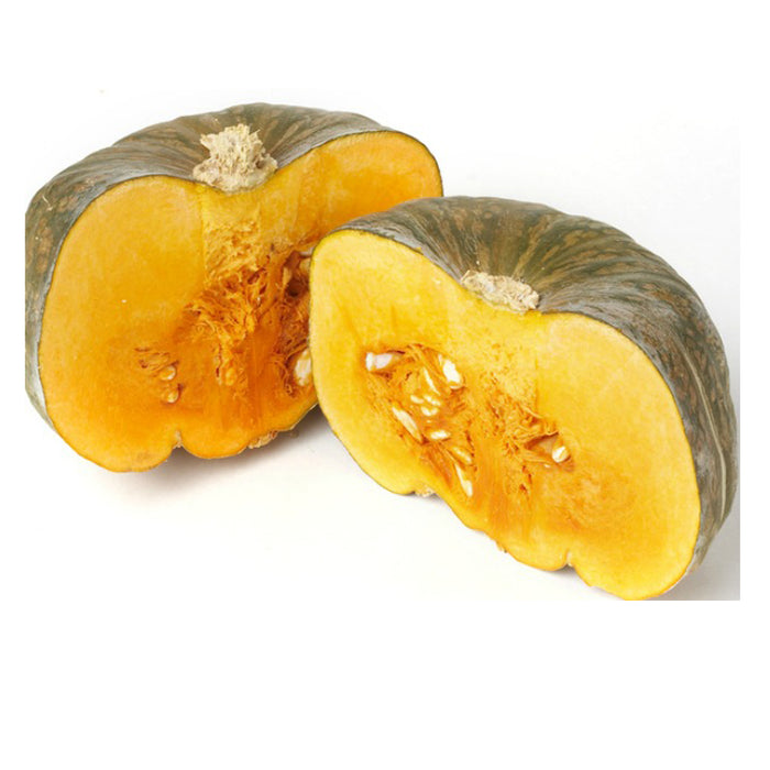 BUTTERCUP SQUASH PUMPKIN (211)