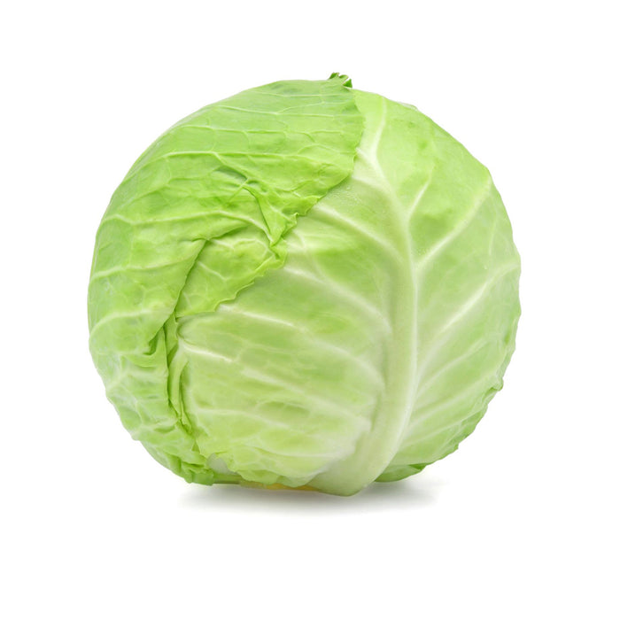 GREEN CABBAGE (00220)