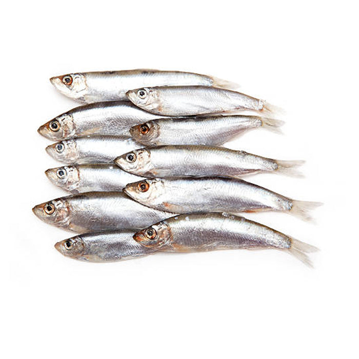 SALTED SPRATS SOLD BY WEIGHT (4111)