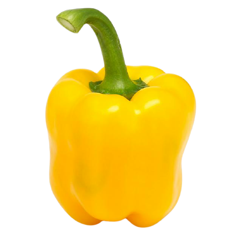 PEPPER YELLOW SOLD BY WEIGHT (00268)