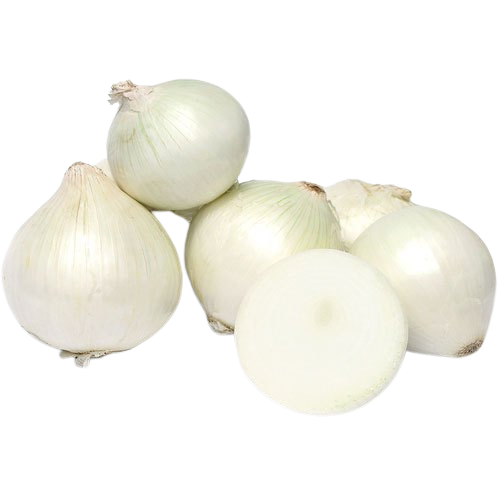 ONION WHITE SOLD BY WEIGHT