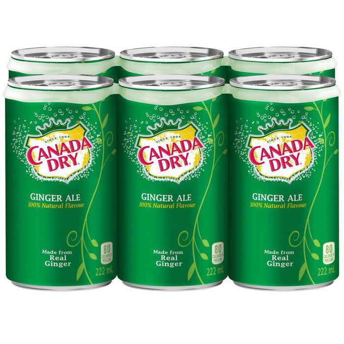 CANADA DRY GINGER ALE FLAVOR 6*222ML