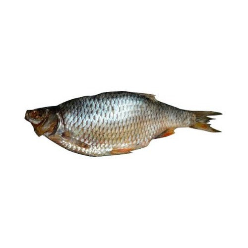 RUDD WHOLE DRY FISH KRASNOPERKA (04155)