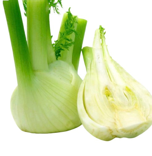 GREEN FENNEL BY UNIT (00591)