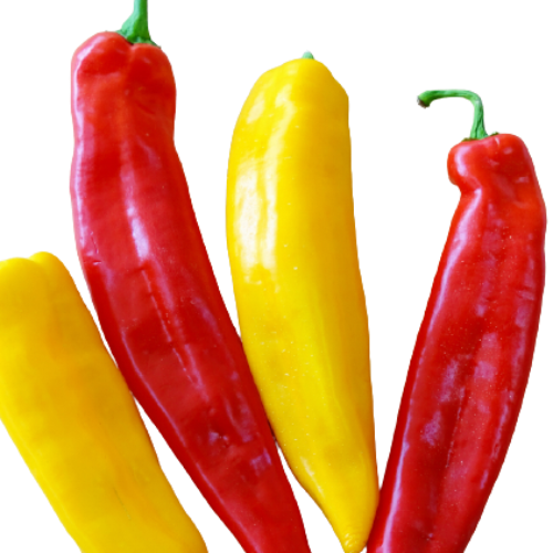 SWEETS LONG PEPPERS PACKAGE 397G