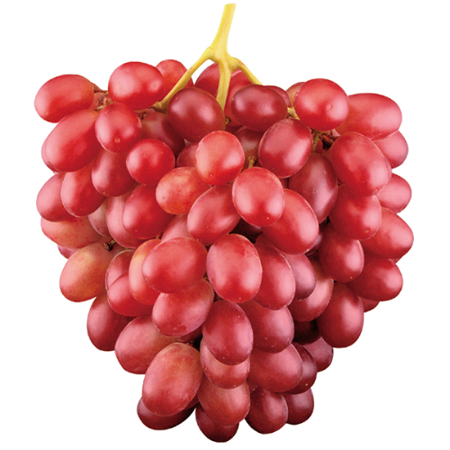 RED GRAPES (00229)